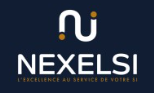 Logo NEXELSI